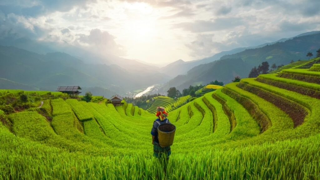 The Beautiful Agriculture Tourism In Indonesia